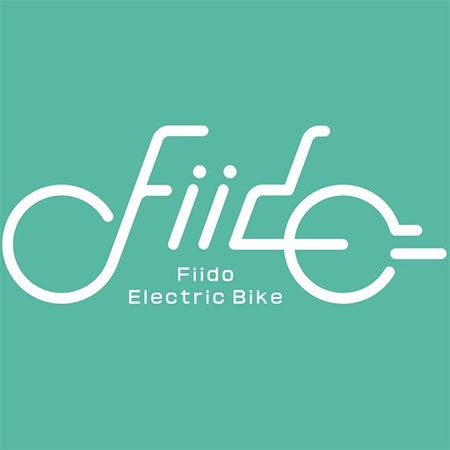 FIIDO Electric Bike - Alloy Bike