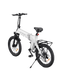 ENGWE C20 Pro Adult Electric Bike 250W light city eBike