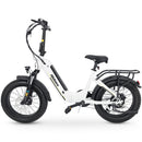 Hidoes BF1 20" Folding E-Bike – 750W Motor, 48V Battery, Fat Tires, Disc Brakes, Shimano 7-Speed