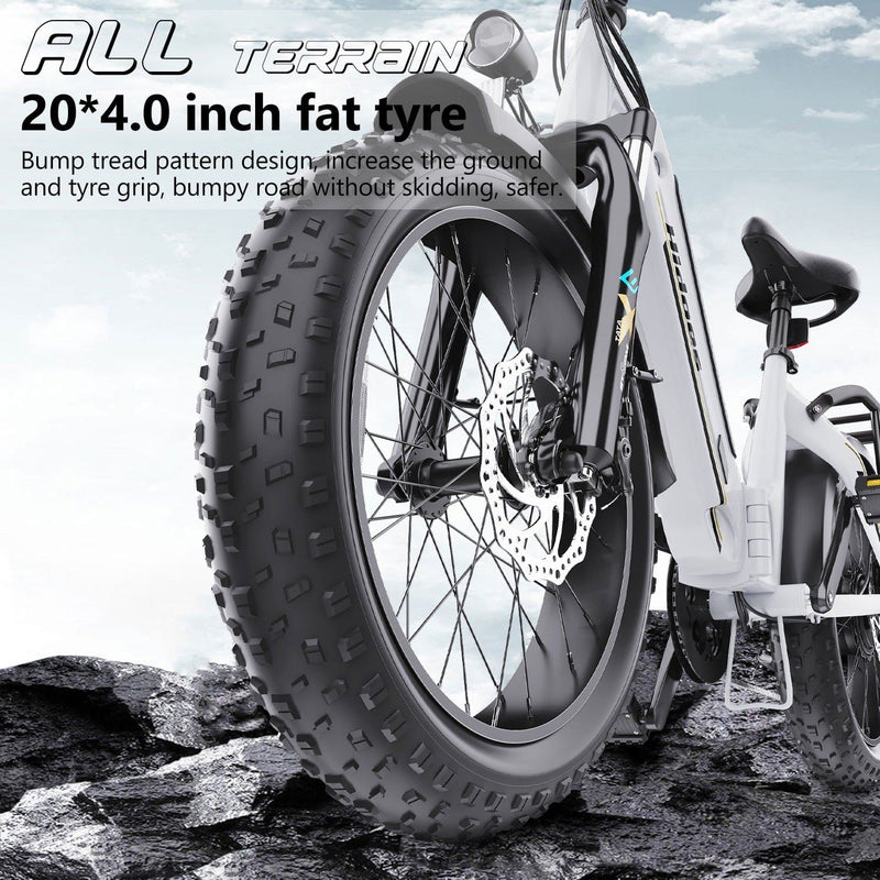 Hidoes BF1 20" Folding E-Bike – 750W Motor, 48V Battery, Fat Tires, Disc Brakes, Shimano 7-Speed