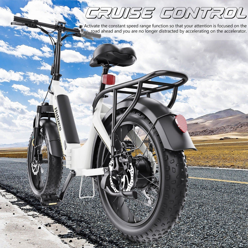 Hidoes BF1 20" Folding E-Bike – 750W Motor, 48V Battery, Fat Tires, Disc Brakes, Shimano 7-Speed