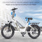 Hidoes BF1 20" Folding E-Bike – 750W Motor, 48V Battery, Fat Tires, Disc Brakes, Shimano 7-Speed